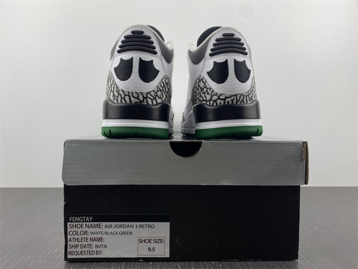 Air Jordan 3 retro oregon pitcrew