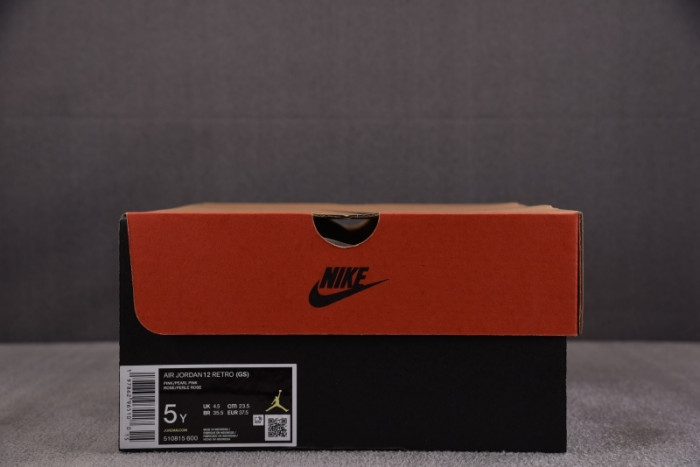 AIR JORDAN 12 Retro GS 