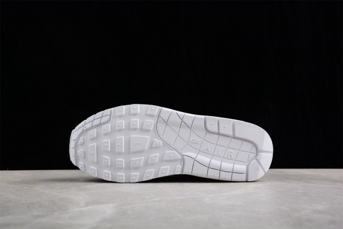 NIKE AIR MAX 1 "DENIM LEOPARD" FJ4452-432