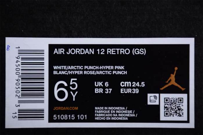 Jordan 12 Retro Arctic Punch (GS) 510815-101