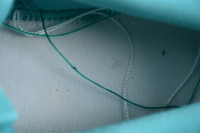 Jordan 1 Low Tropical Teal (W) DC0774-131