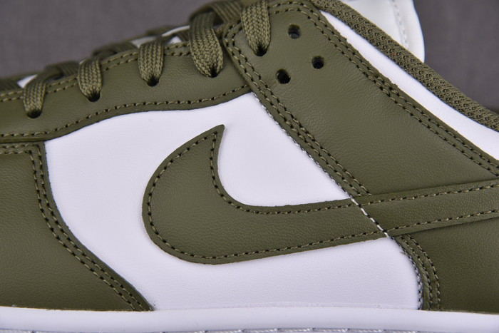 Nike Dunk Low Medium Olive (W) DD1503-120