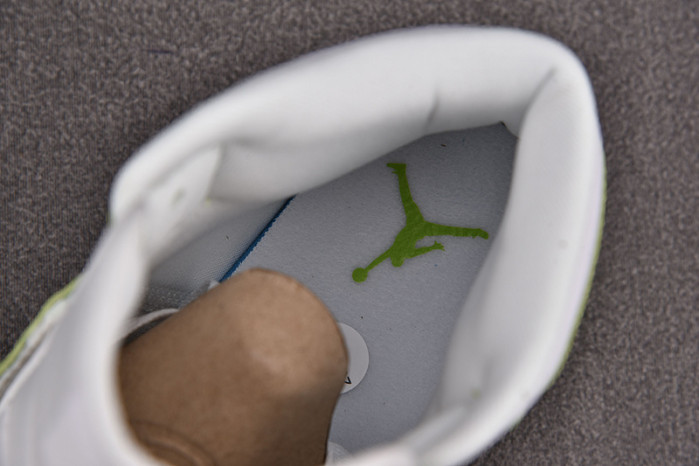 Air Jordan 1 Mid Green Python DV2959-113