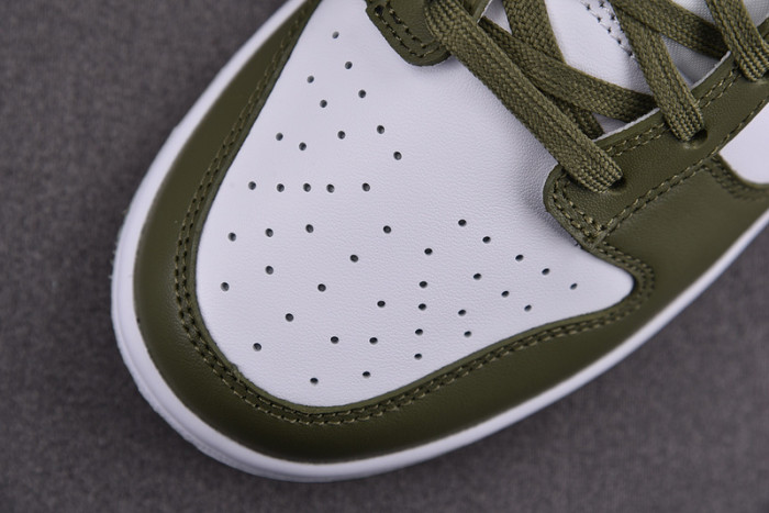 Nike Dunk Low Medium Olive (W) DD1503-120