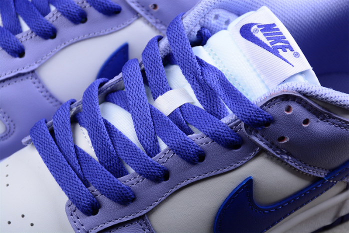 Nike Dunk Low Blueberry (GS) DZ4456-100