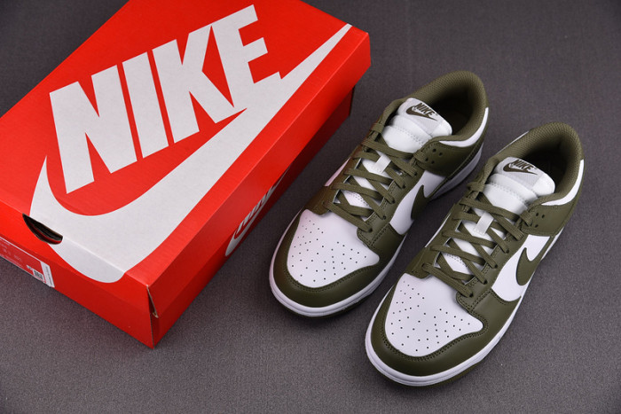 Nike Dunk Low Medium Olive (W) DD1503-120