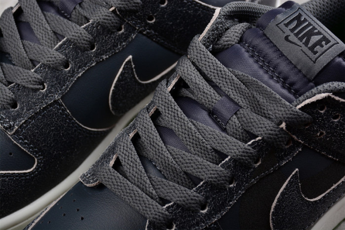 Nike Dunk Low Shadow Iron Grey DQ7681-001