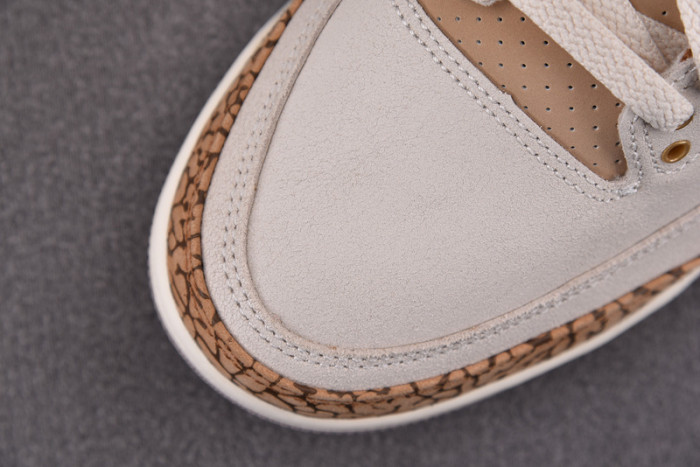 Air Jordan 3 "Palomino" CT8532-102