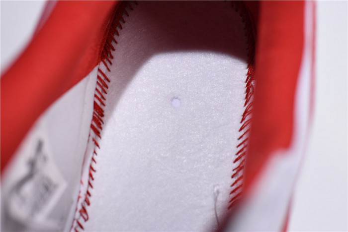 Nike Air Force 1 Low Fo Fi Fo AQ5107-100