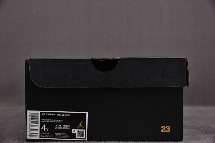 Jordan 1 Mid SE Zen Master (GS) DM6216-001