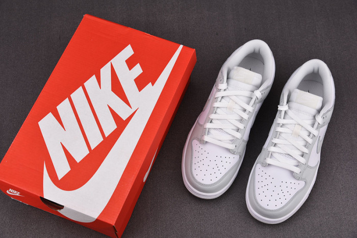 NIKE DUNK LOW PHOTON DUST (W) - DD1503-103